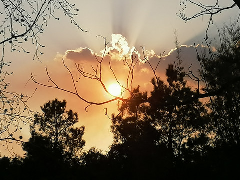 夕阳