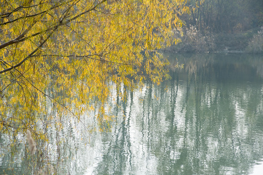 秋色河水