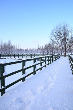 雪景