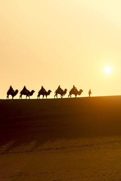 敦煌鸣沙山景区沙山上骑行骆驼队
