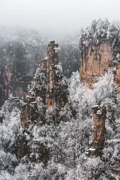 张家界天子山雪景