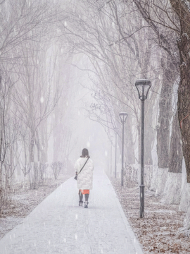 雪后大雾天