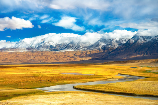 中国新疆塔什库尔干县的吐合曼湿