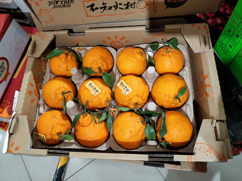 整箱丑橘