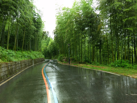 安吉余村雨后竹林道路