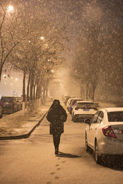 大雪纷飞之夜