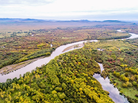 无人机航拍秋季湿地河流森林植被