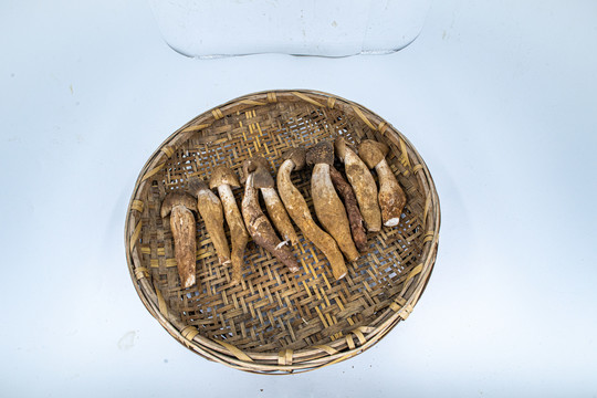 鸡枞