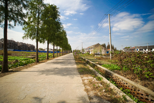 农村道路