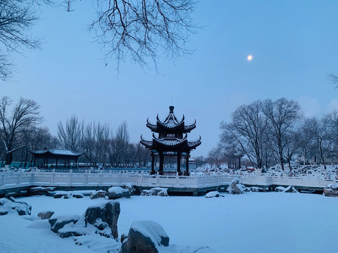 公园雪景