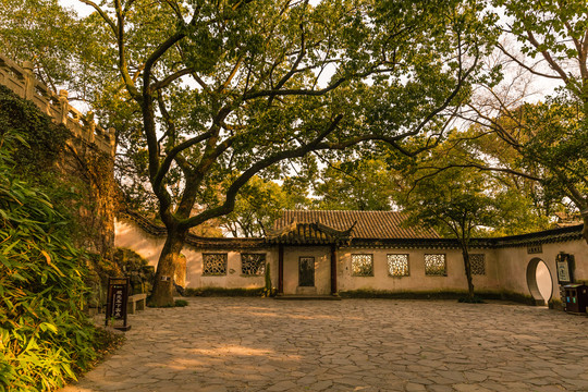 庭院