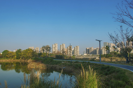 晋江南岸生态公园湿地景观