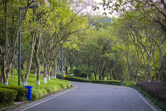 重庆园博园（公园大道）