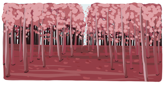 红色树林插画
