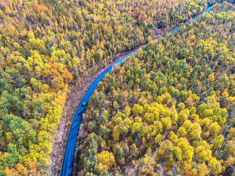 航拍秋季原始森林公路