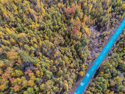 秋季多彩森林公路航拍