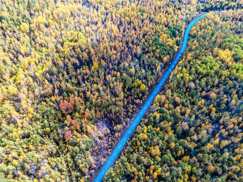 无人机航拍秋季森林公路