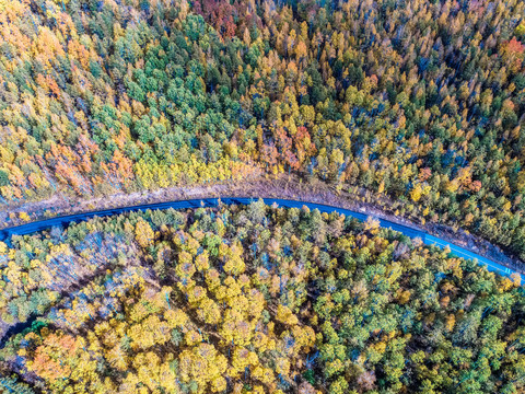 航拍秋季多彩森林公路