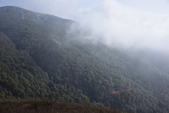 云雾大山