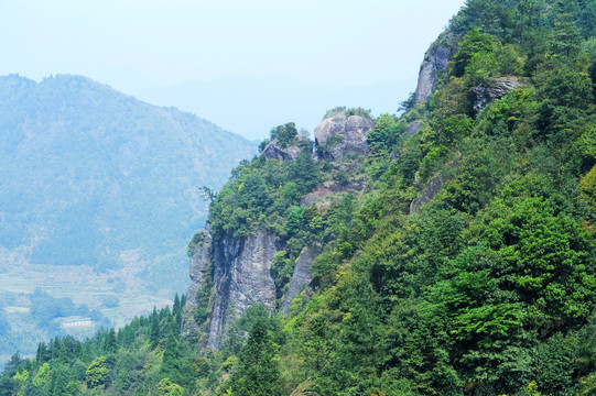 高山绿树