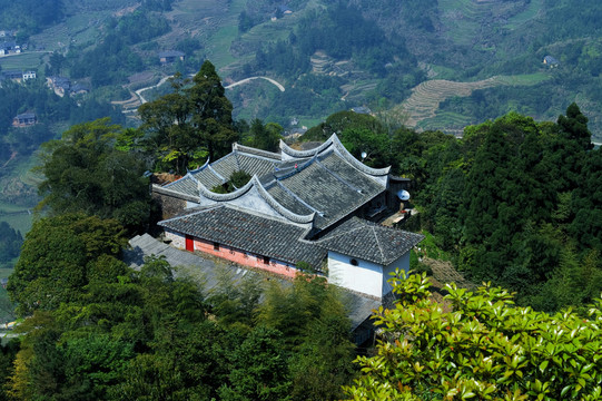 高山绿树