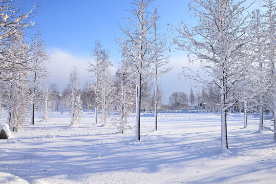 雪景