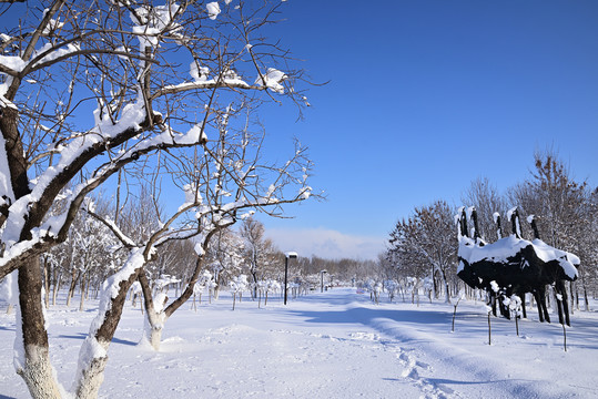 雪景