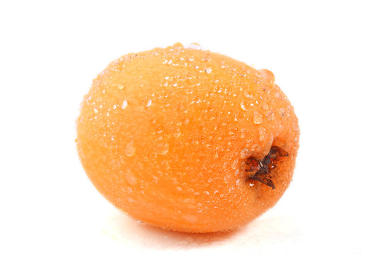 枇杷