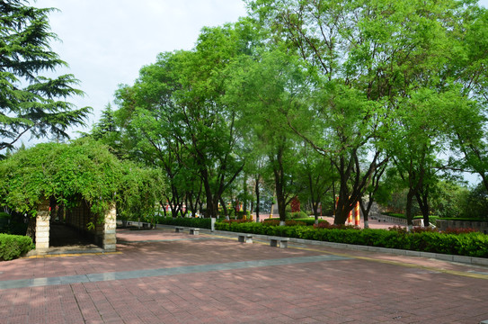 北坡公园