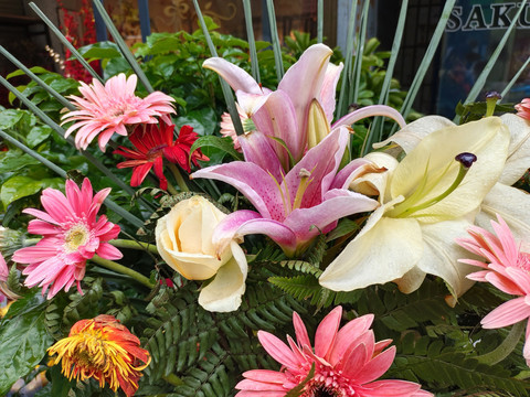 鲜花