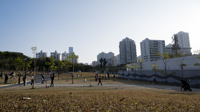 公园外的现代都市建筑