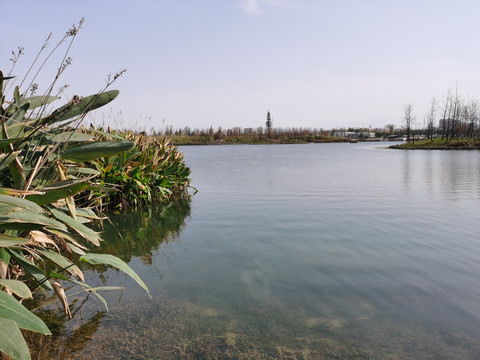 渼陂湖