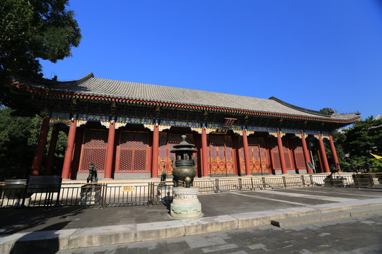 北京皇家园林颐和园仁寿殿