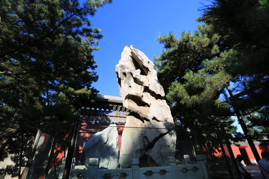 北京颐和园仁寿殿前寿星石