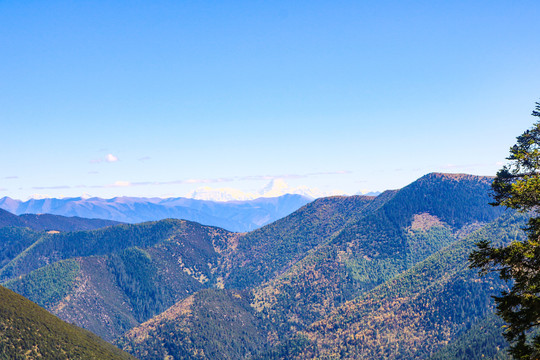 雪山