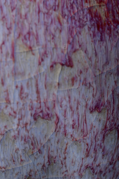 钧瓷自然窑变釉色肌理裂纹开片纹