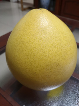柚子