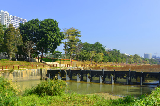 深圳大学城及大沙河