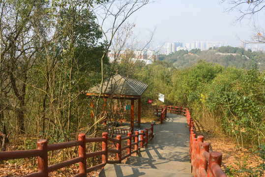 成都钟家山步道