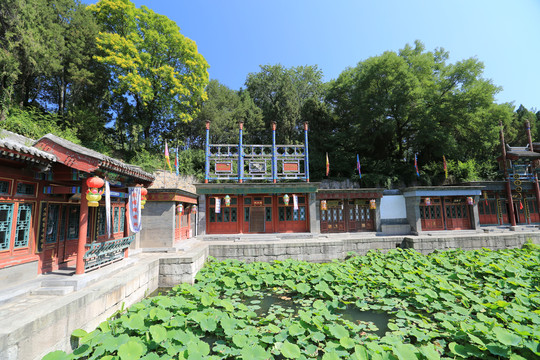 北京颐和园苏州街上各种店铺