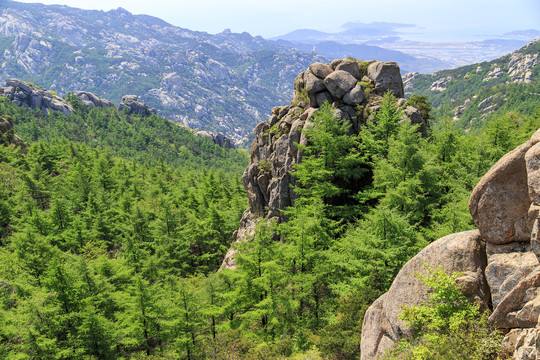 青岛崂山春光