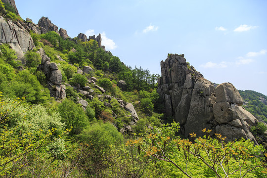 青岛崂山春光