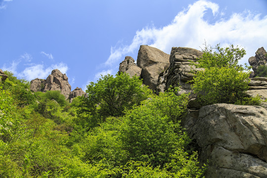 青岛崂山春光