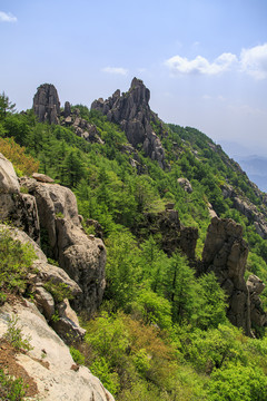 青岛崂山春光