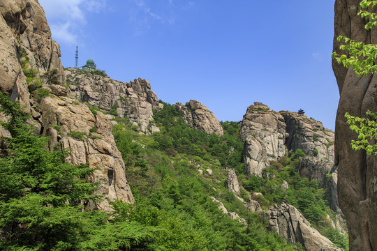 青岛崂山春光