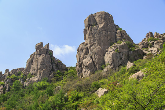 青岛崂山春光