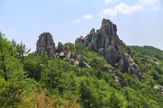 青岛崂山春光