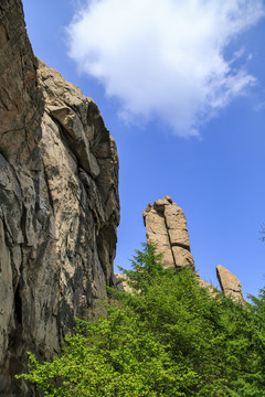 青岛崂山春光