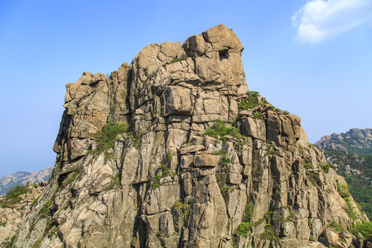 青岛崂山春光