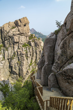 青岛崂山春光